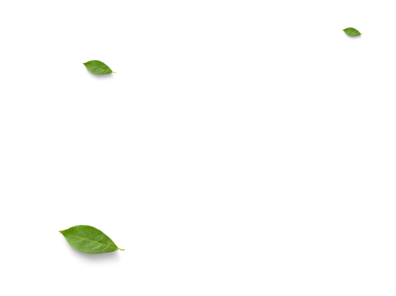 Quy trình mua hàng tại Tempu