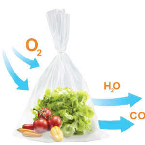 Bảo quản nông sản