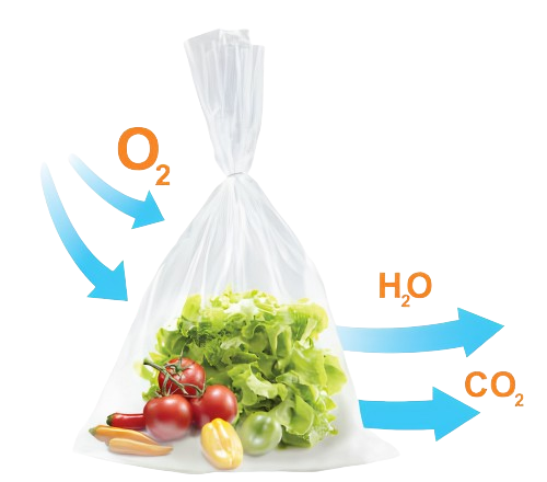 Túi GreenMAP Bảo Quản Rau Củ Quả Tươi Và Lâu Hơn
